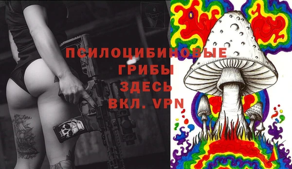 гашик Валуйки