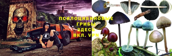 каннабис Беломорск