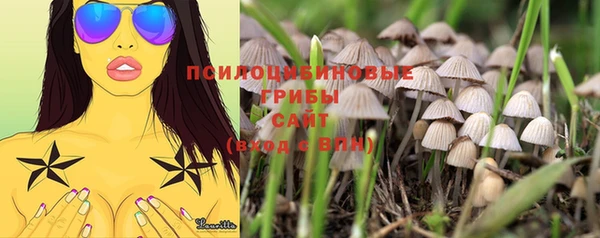 прущий лед Балахна