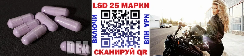hydra онион Козельск Лсд 25 экстази ecstasy