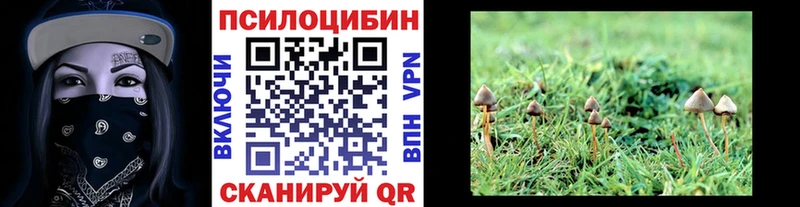 Галлюциногенные грибы ЛСД  Козельск 